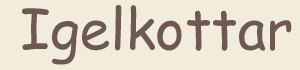 Igelkottar